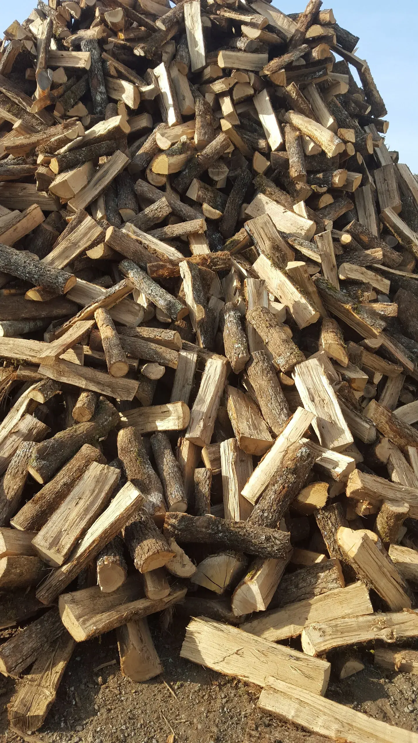 Le Bois De Chauffage Fonsorbais