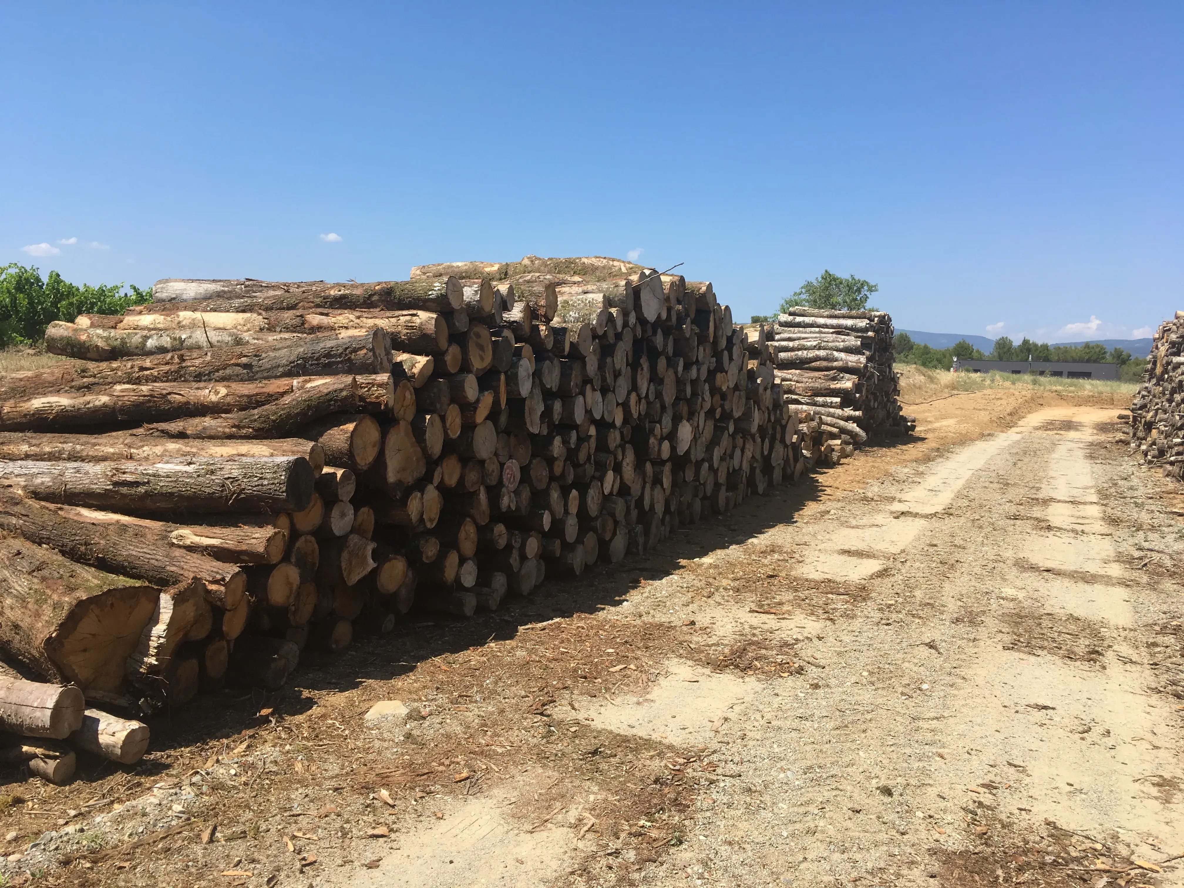 Portal Bois  Entreprise de Bois de chauffageRamonage  Pépinière et Agrément jardin à Carcassonne