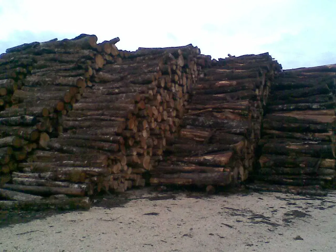 BOIS DE CHAUFFAGE MEAUXSOONE
