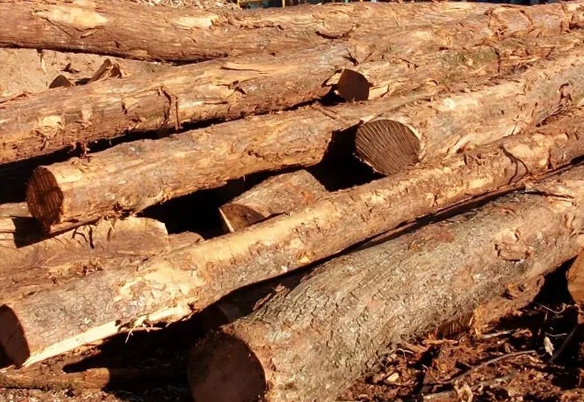 Vidal Bois  Livraison de bois dans l'Hérault