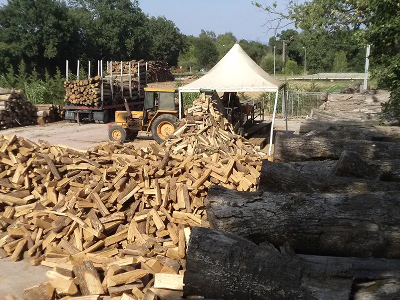 Van Der Sypt  Bois de Chauffage