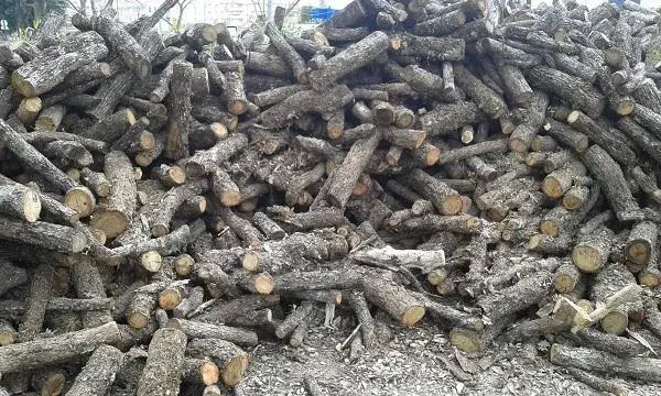 SOCIETE CARANTA