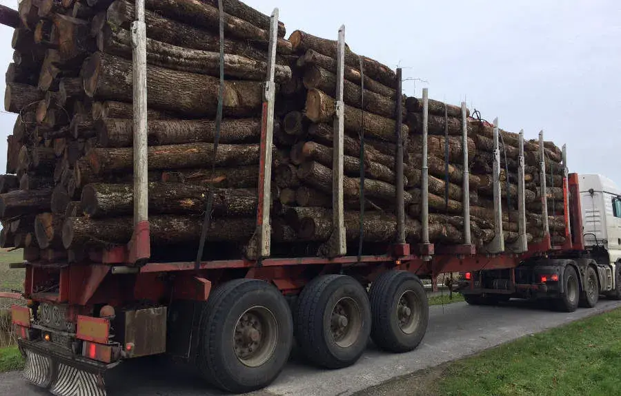 Bois de chauffage  Le Montrot