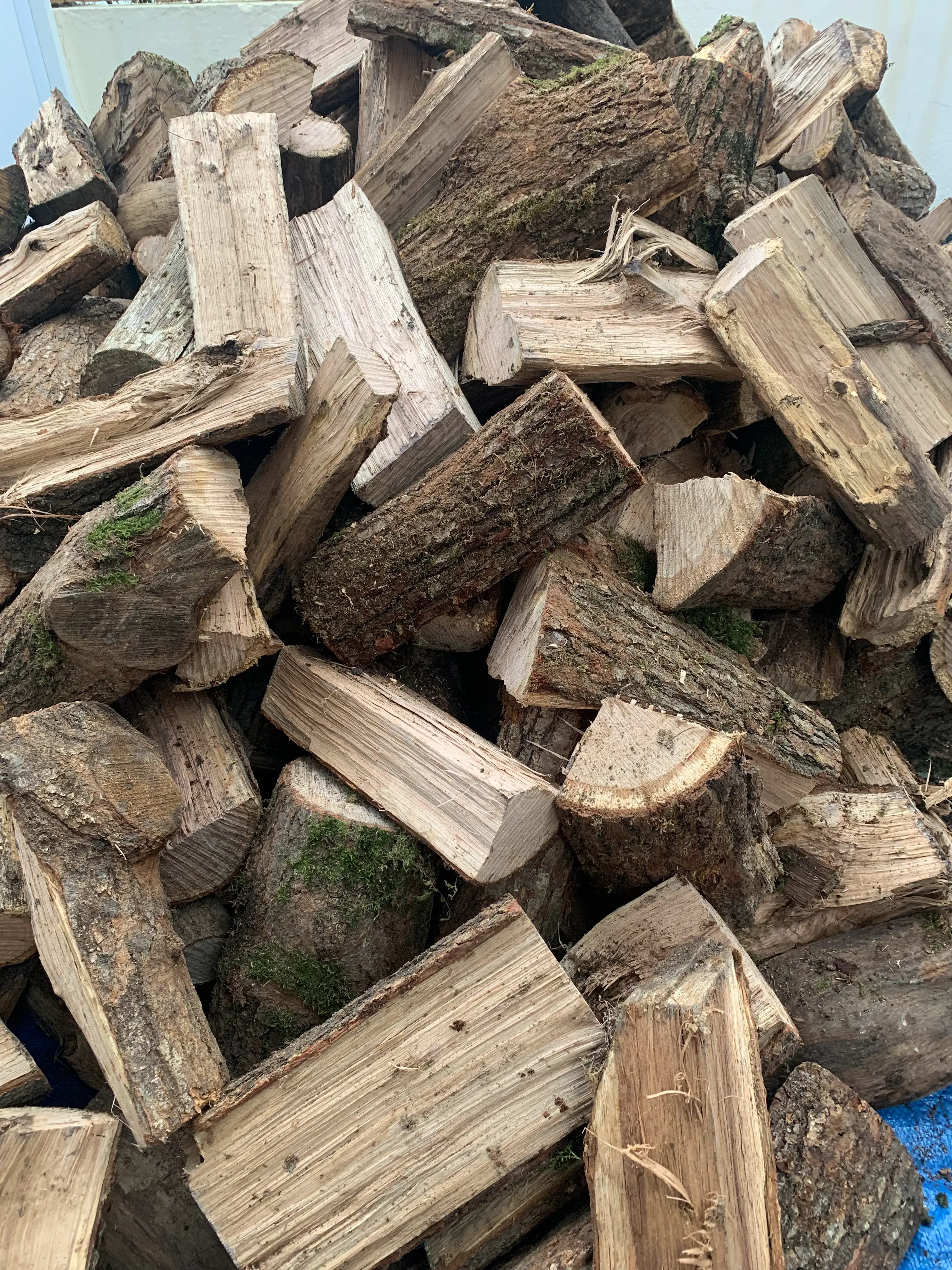 BOIS PRESQU'ILE