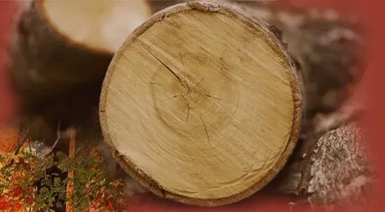 J. GUILLON  Bois de Chauffage