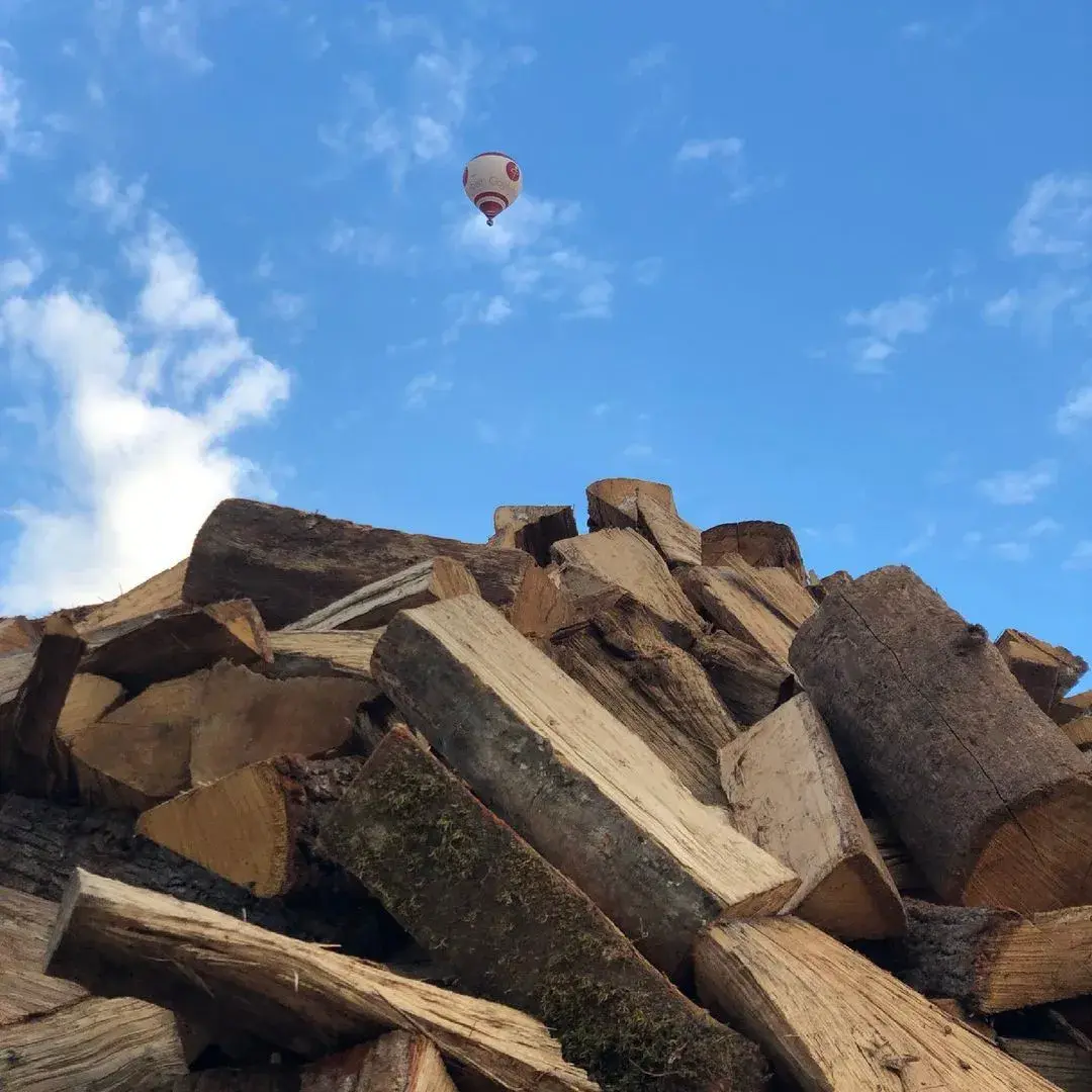 Bois de chauffage 49  Mary et fils