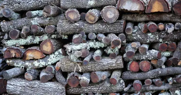 Aux Bûches de Bernis