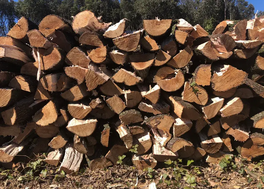 TEDDY BOIS DE CHAUFFAGE