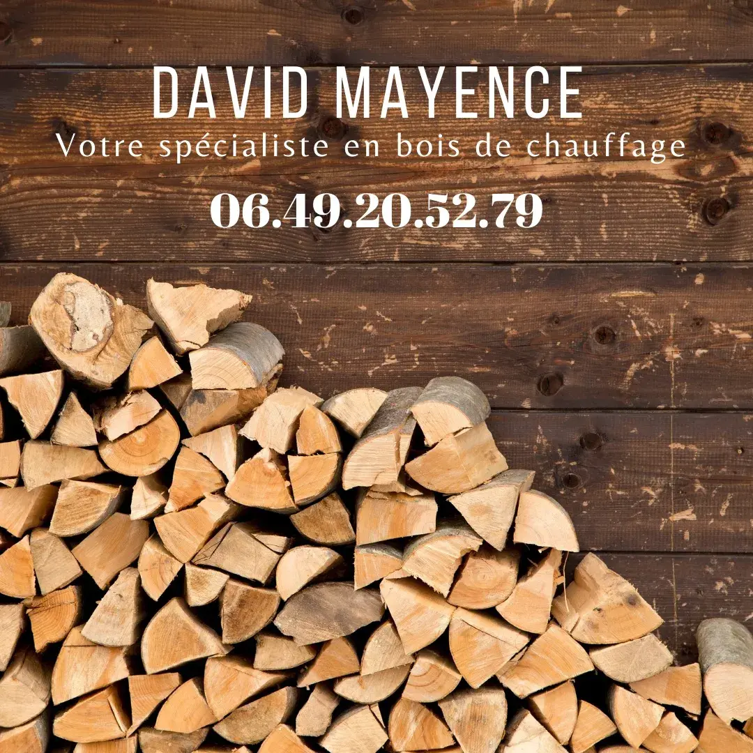 Mayence David