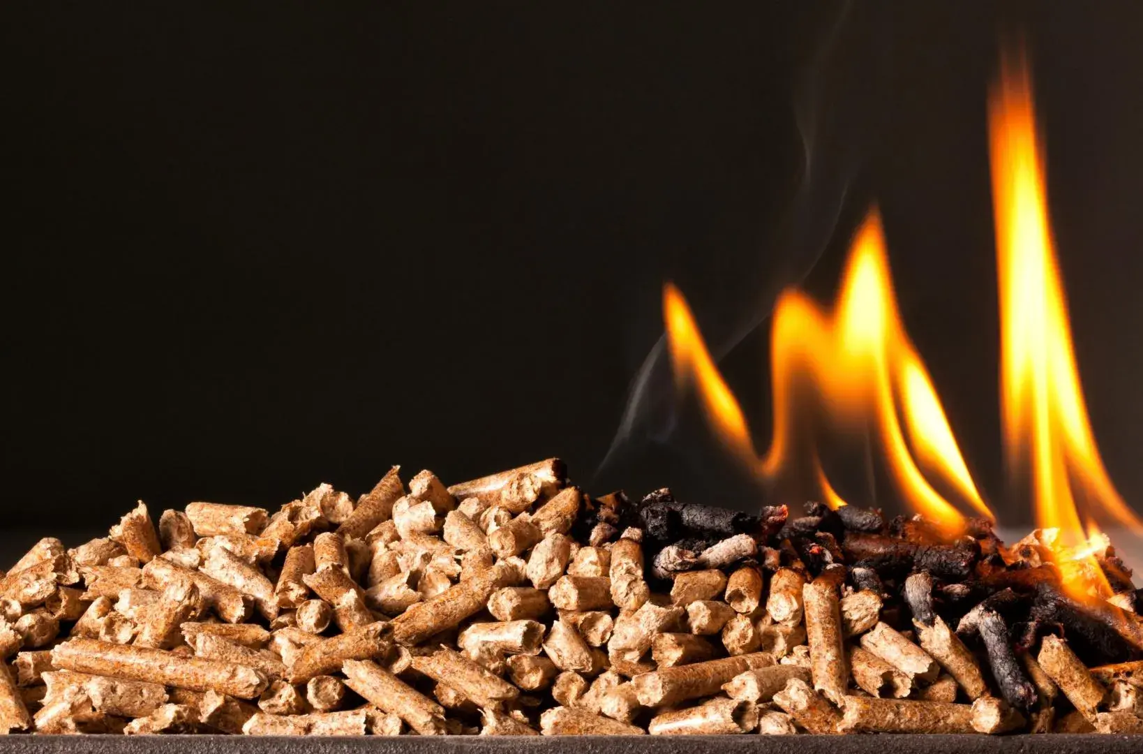 COMBUSTIBLES TURLAN