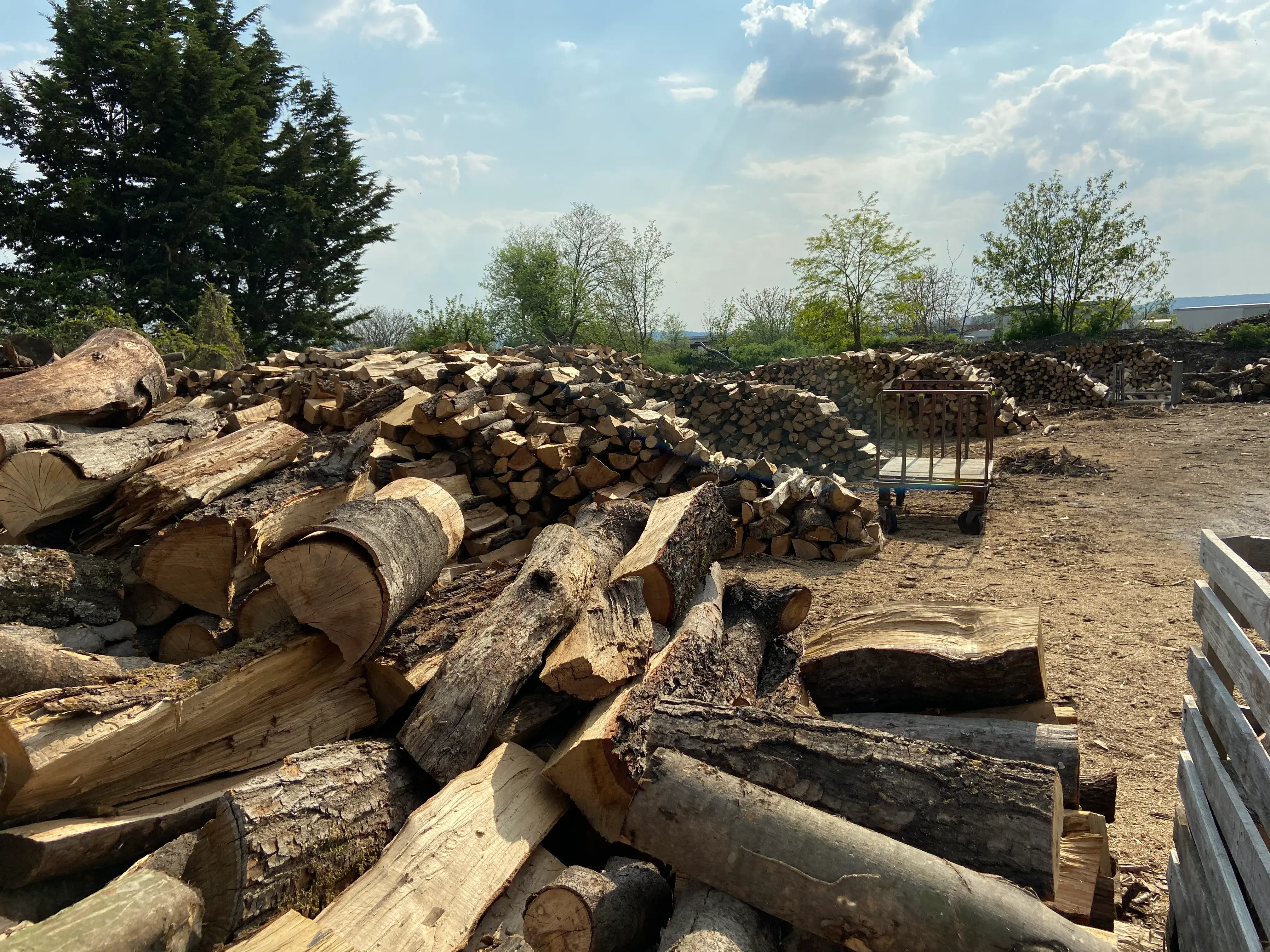 Bois de chauffage Yvelines
