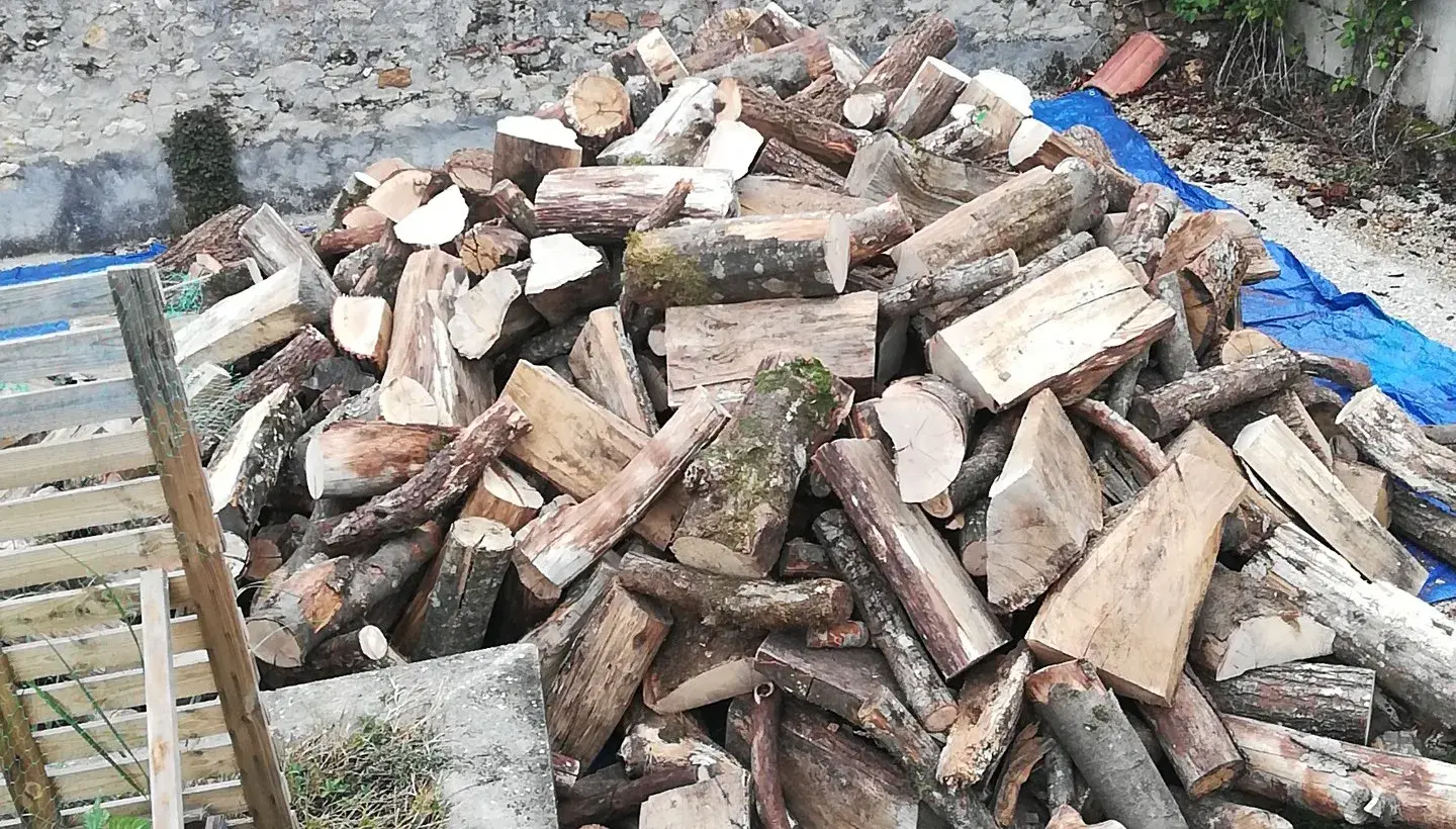 Bois Bûche Molinario