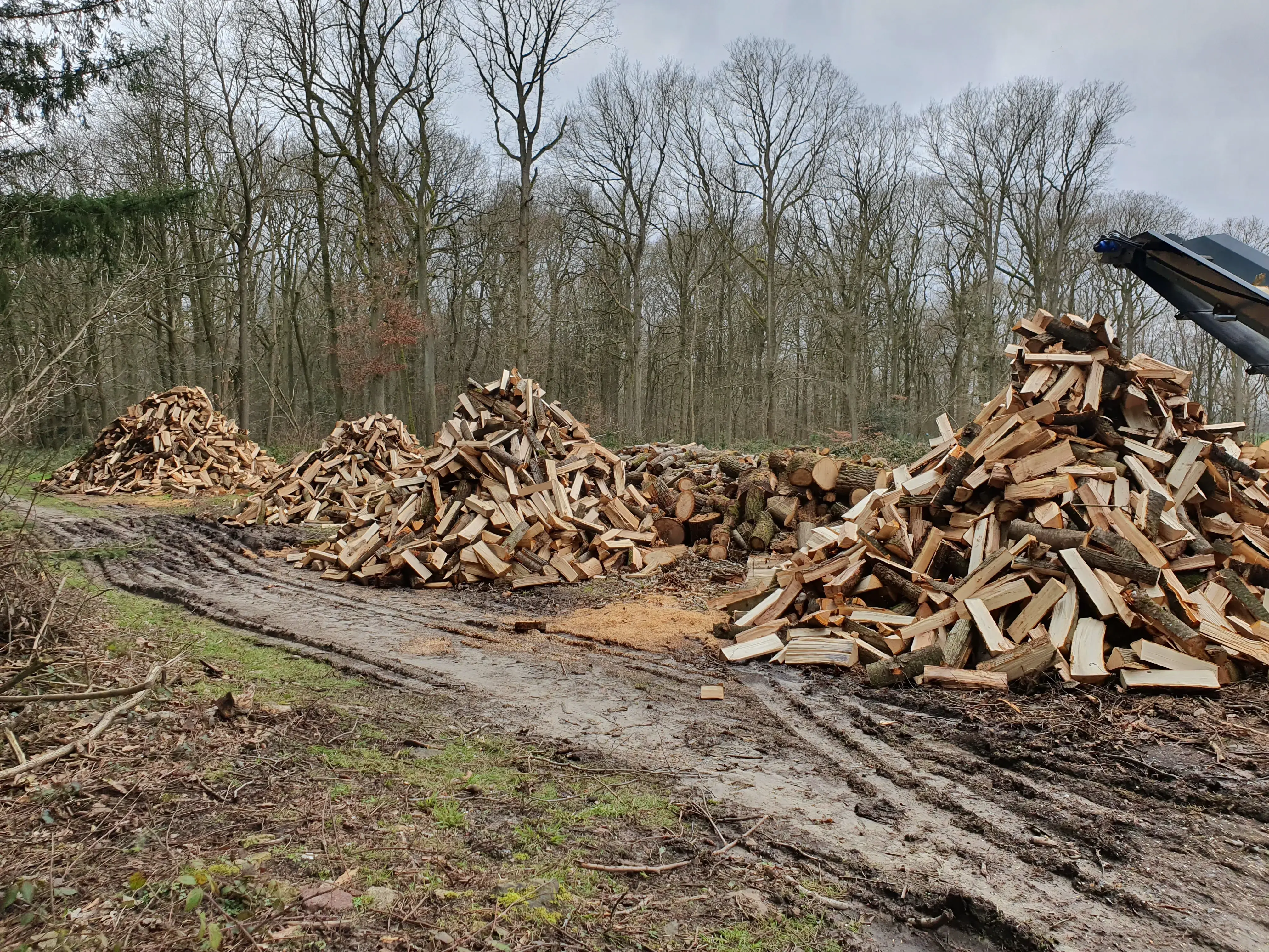 FOYBOIS ( achat  vente bois de chauffage )