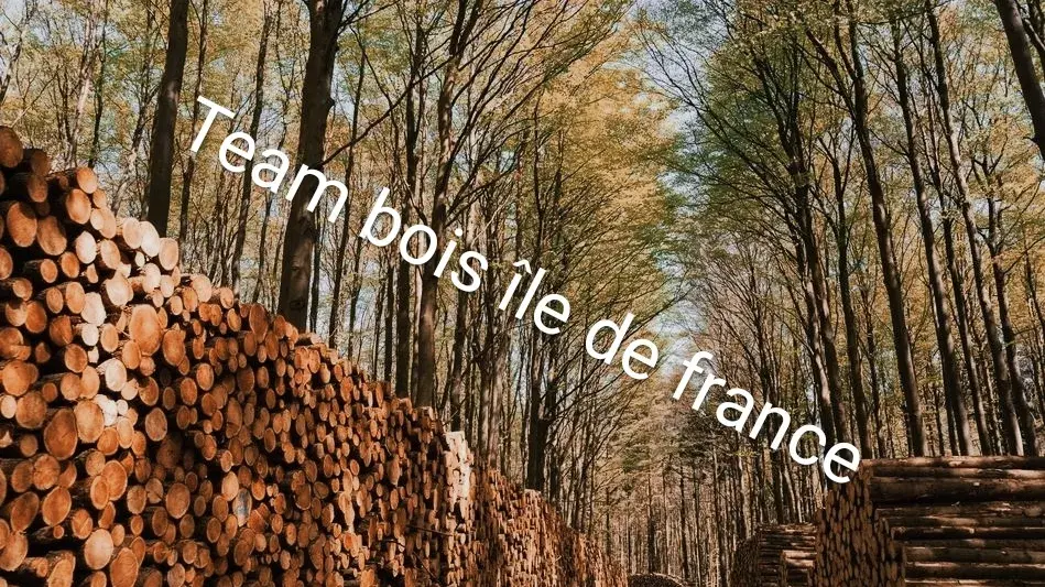 Team bois Idf votre bois de chauffage pour toute l'année
