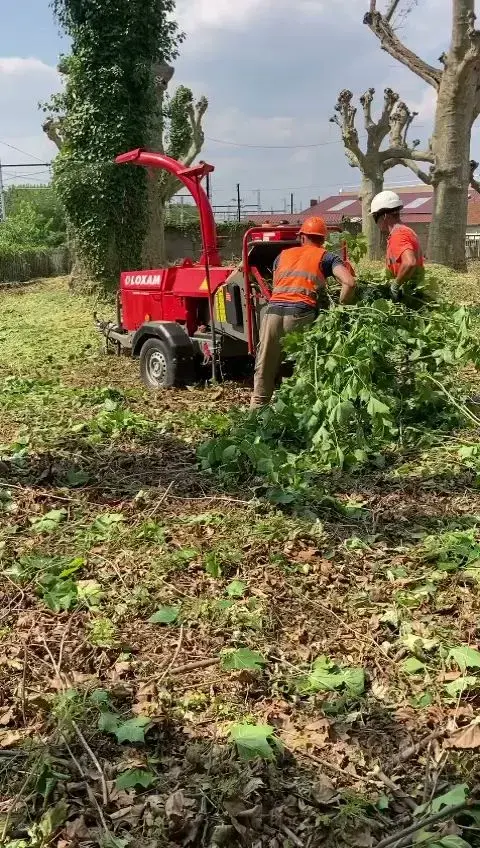 Entreprise BESI bois de chauffage