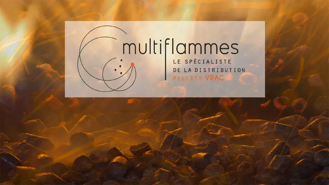 MULTIFLAMMES