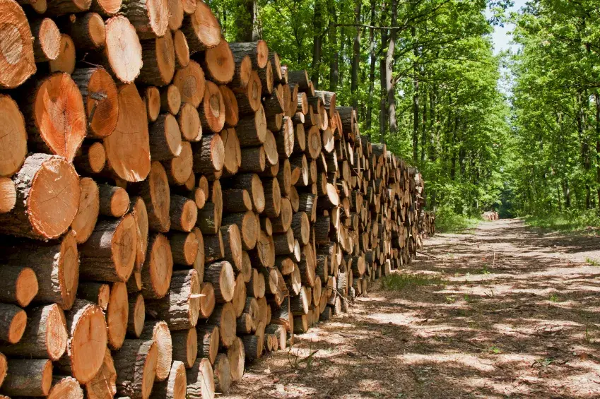 Les Margotins  Bois de chauffage & Granulés bois