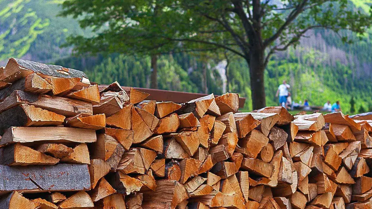 Bois de chauffage VNBC