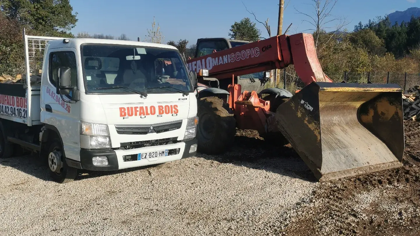 Bufalo Bois