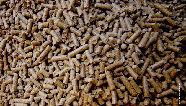Granules Au Poêle