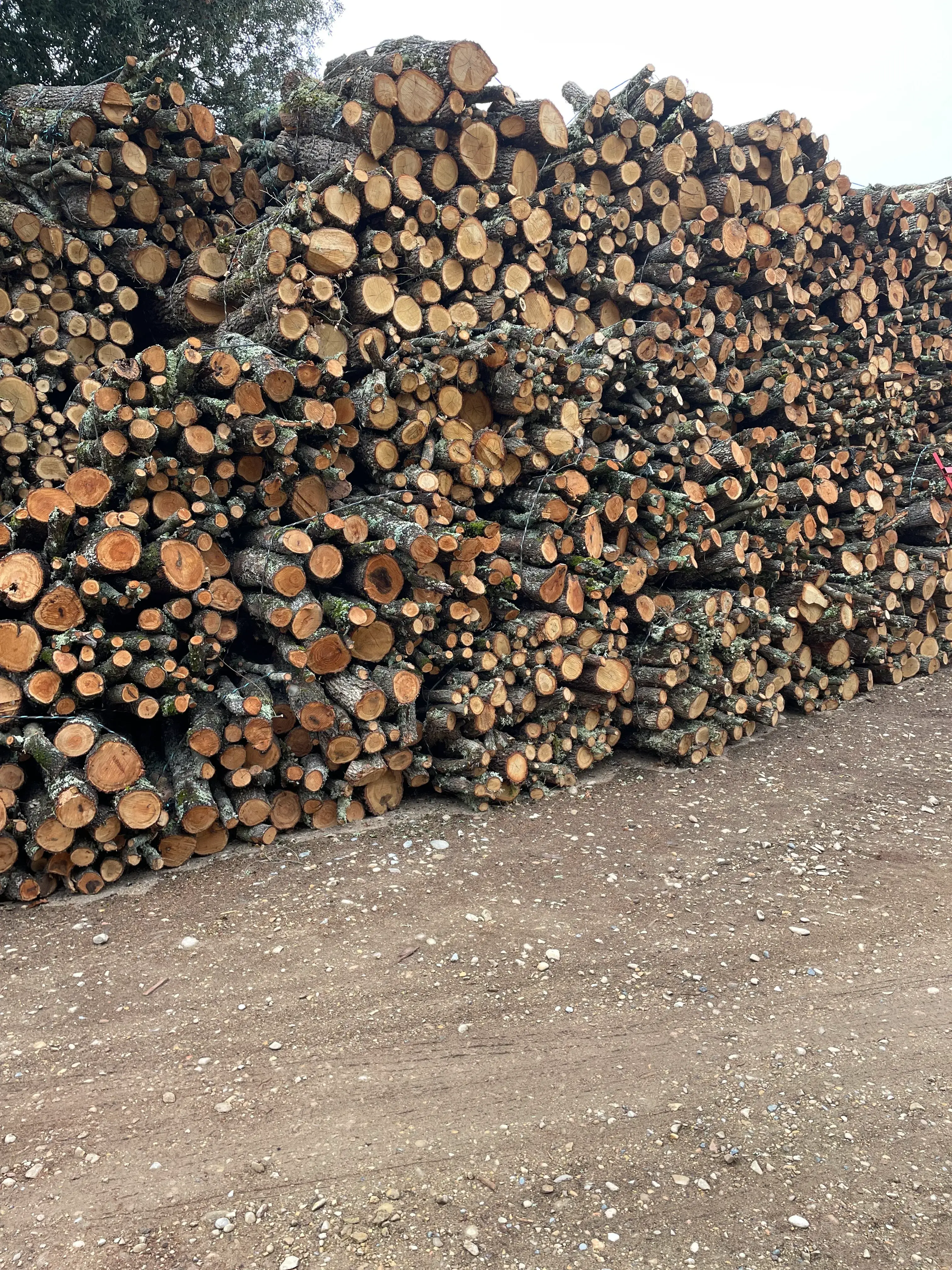 Ent Artalle bois de chauffage