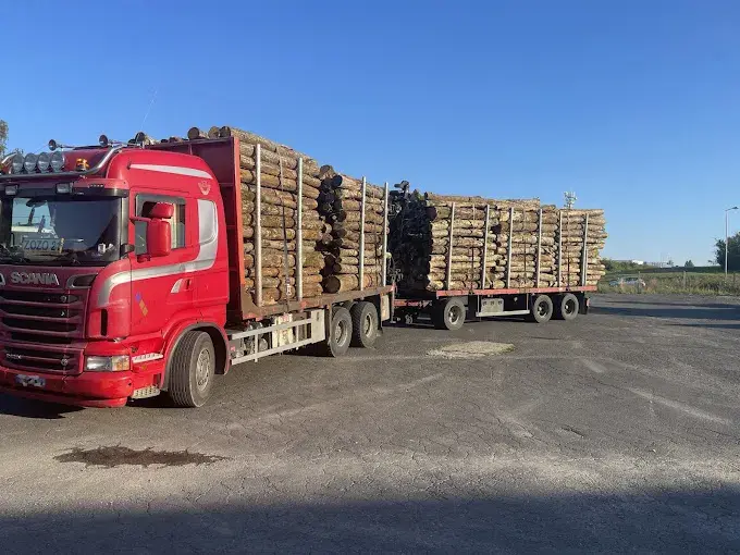 BOIS BUCHES AUVERGNE