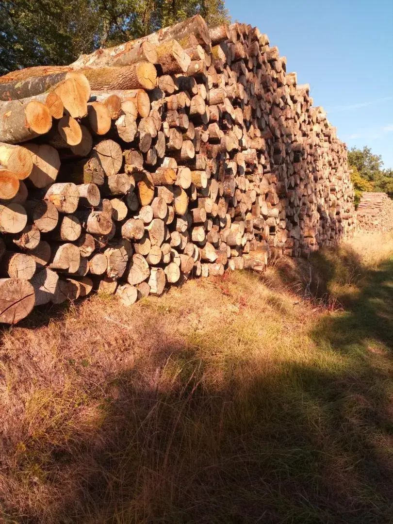 La Forestière Du Centre