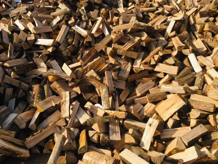 Bois du Goëlo