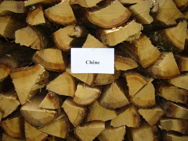 Kodde Rogier Philippus