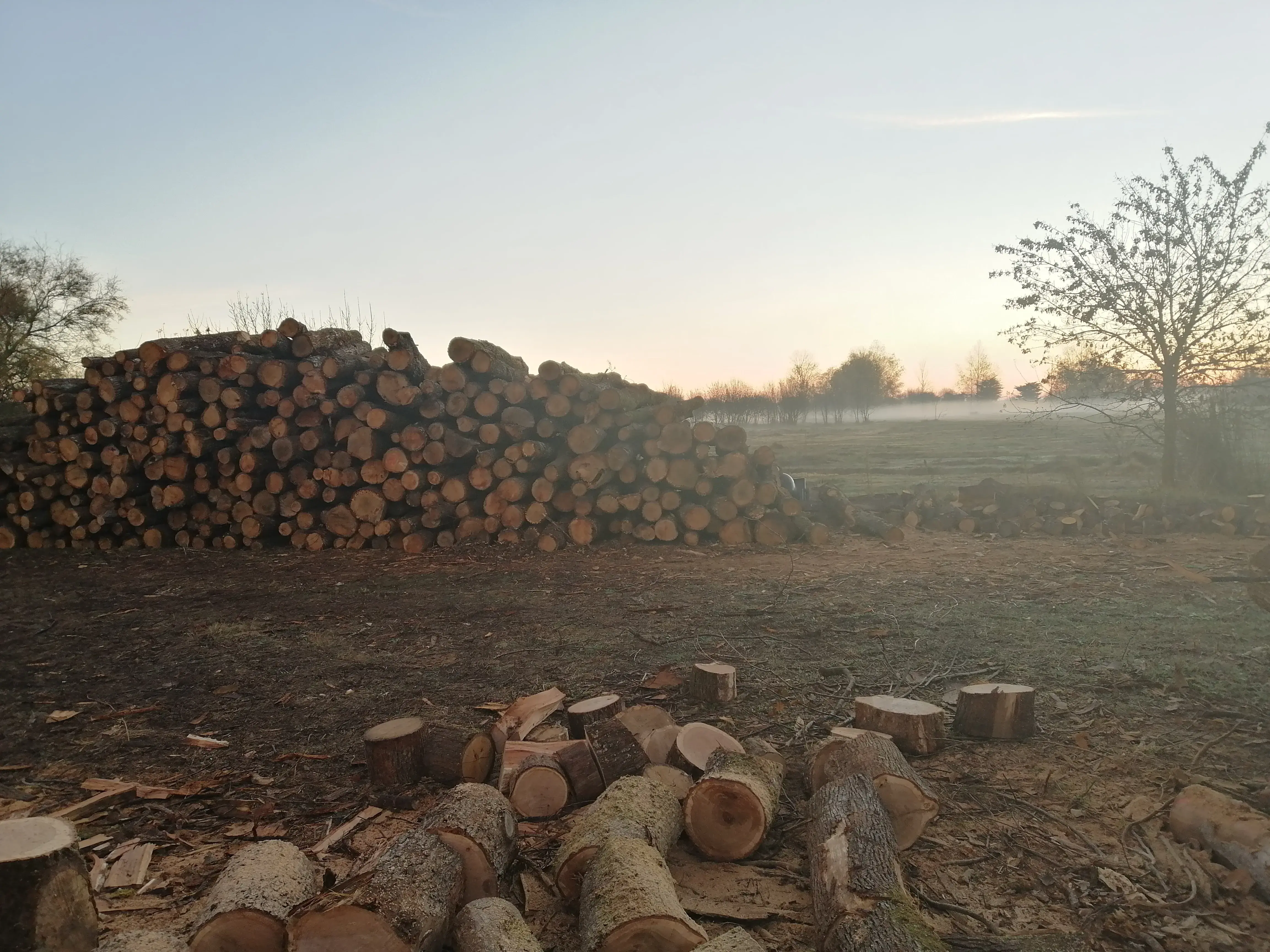Lanet Ronald bois de chauffage