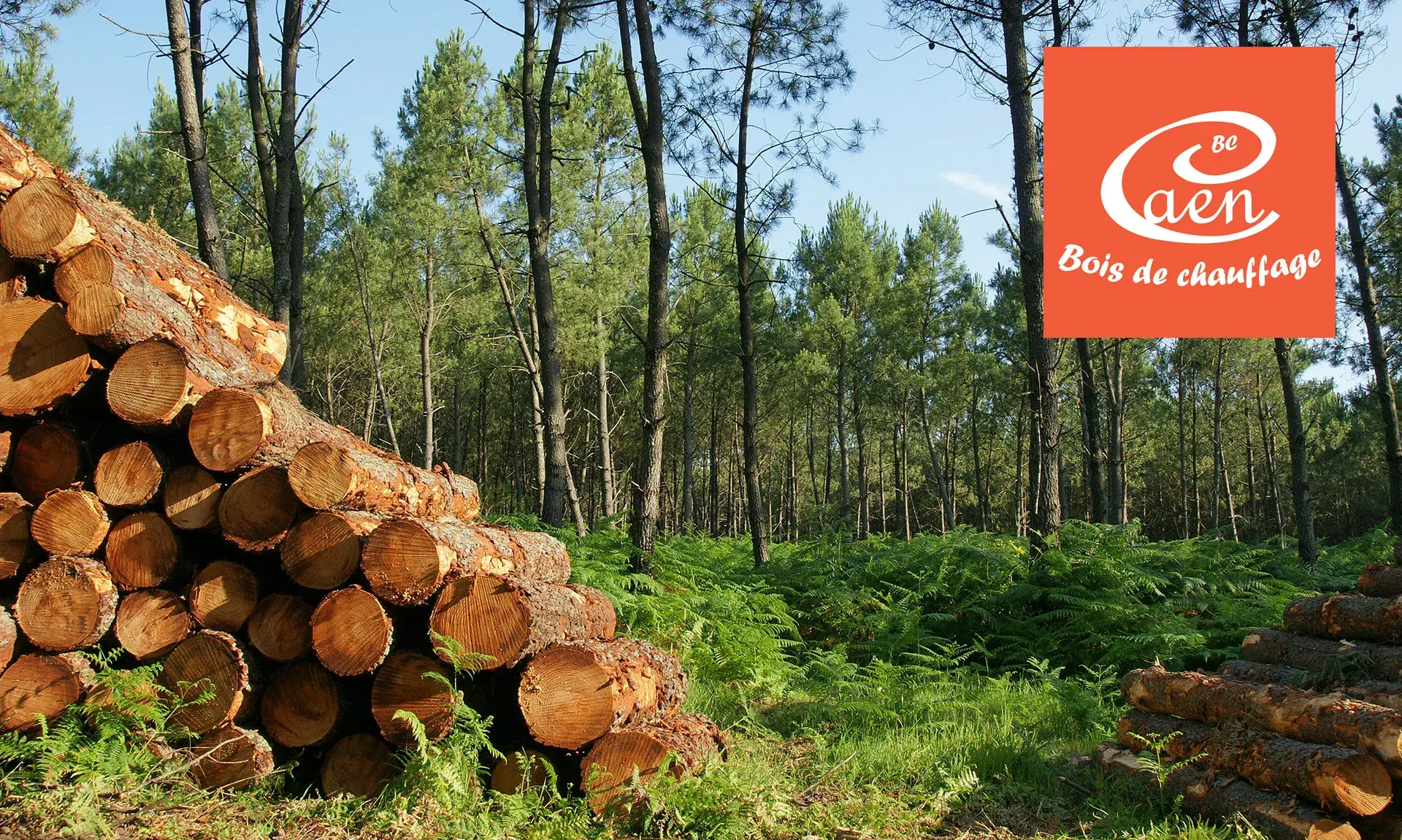 Caen bois de chauffage
