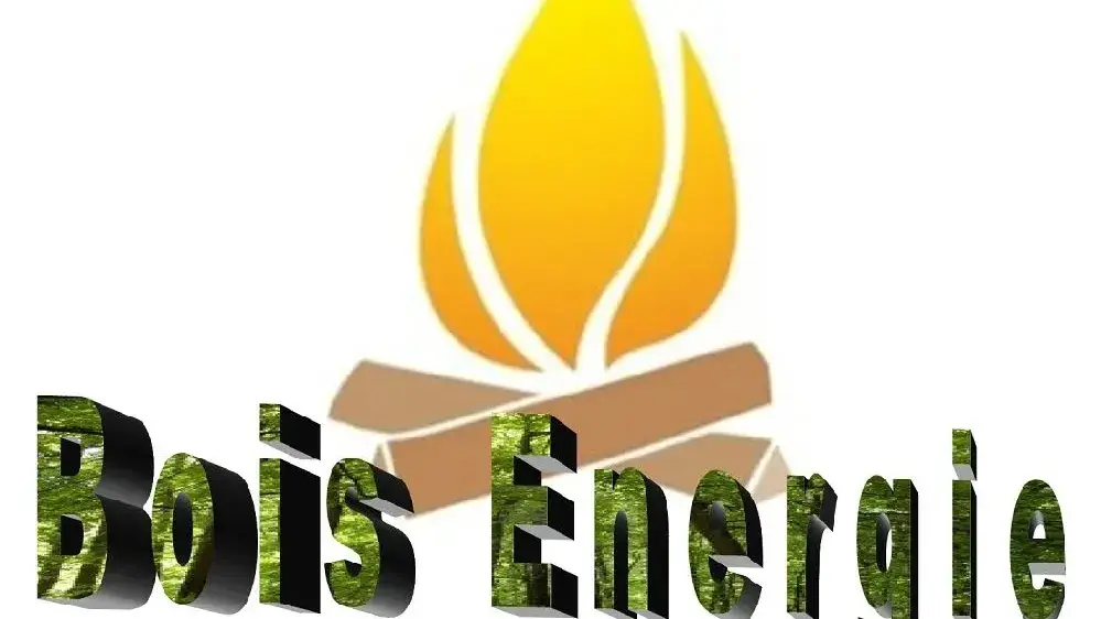 Sas Bois Energie