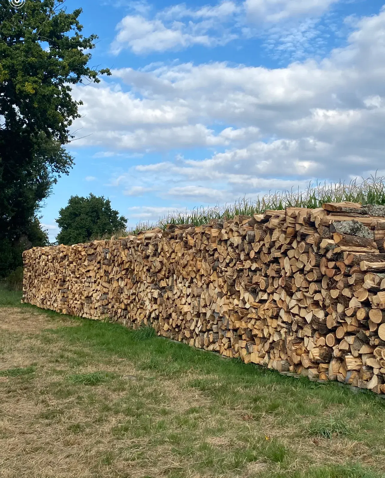 ARBOLEAK BOIS DE CHAUFFAGE