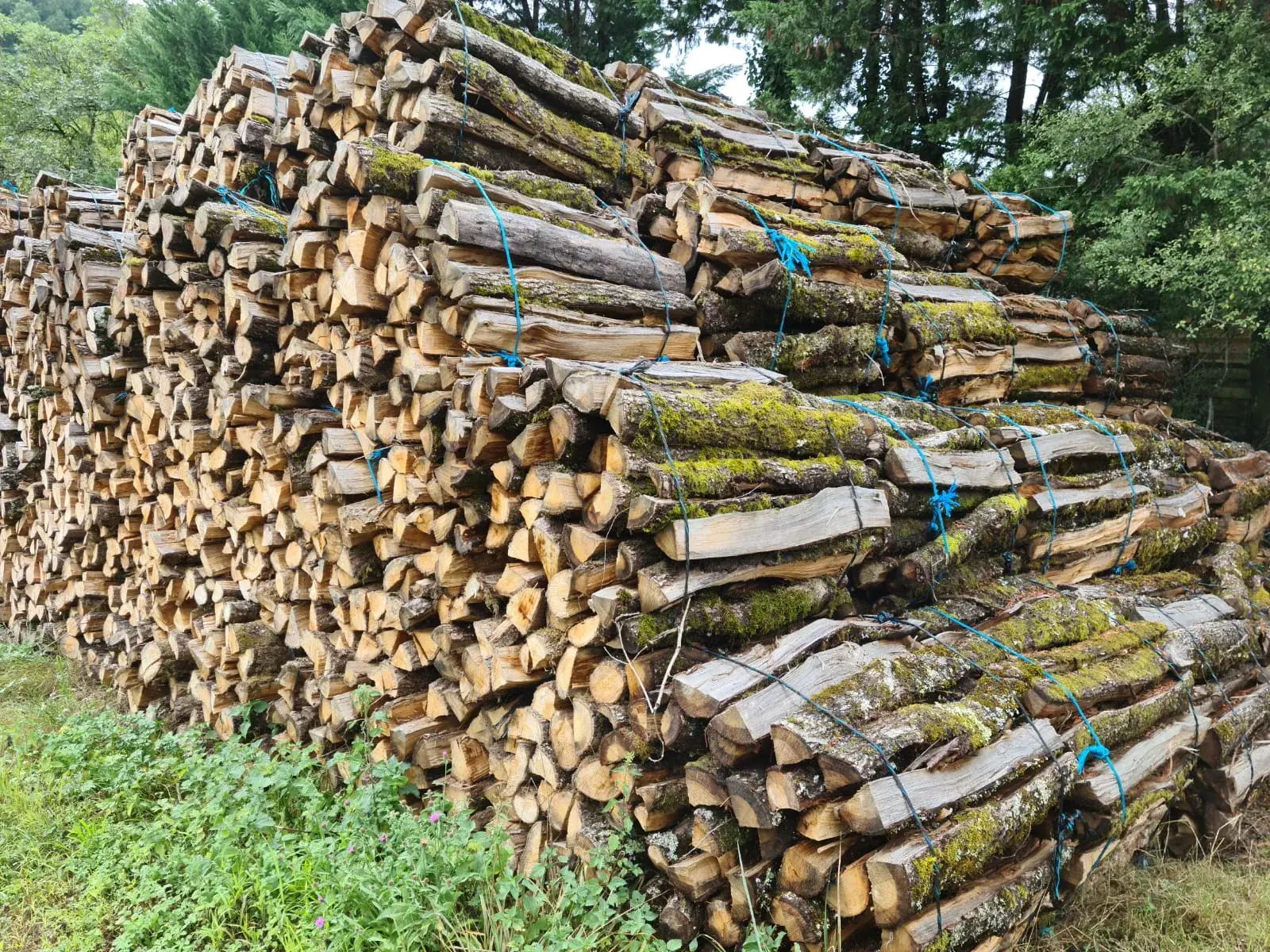 La bûche charentaise